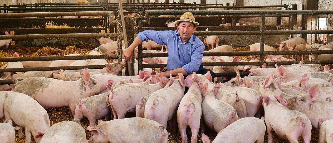 Άνοιξε η πλατφόρμα πληρωμής της προκαταβολής για τη βιοασφάλεια