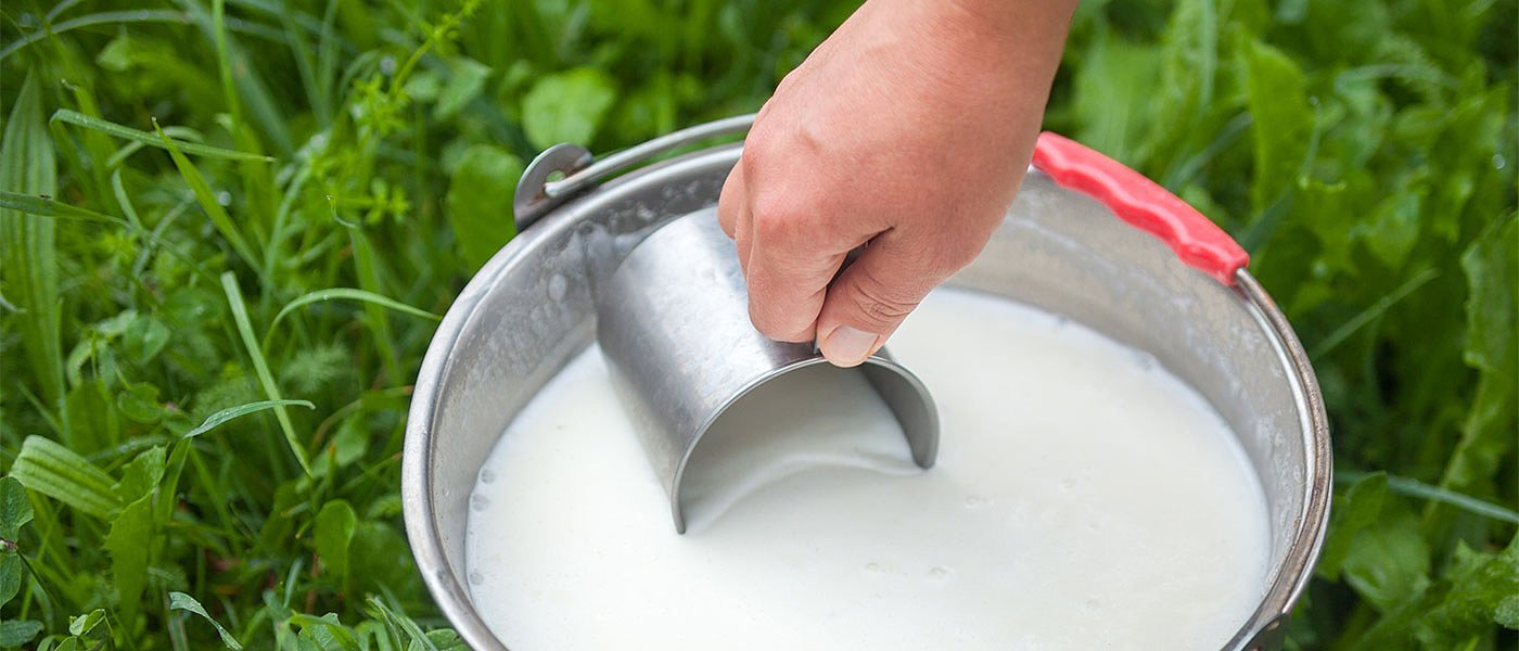Λέσβος: Έως 1,34 ευρώ για το πρόβειο γάλα από εταιρείες της ηπειρωτικής Ελλάδας