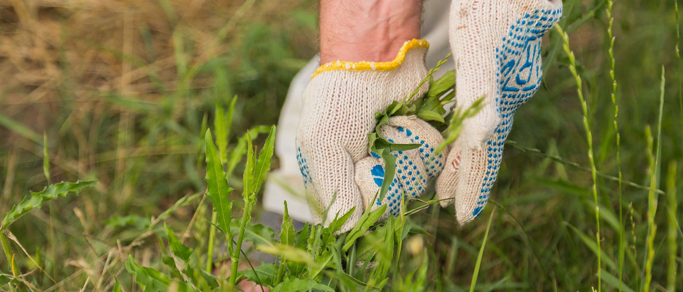 Από 1η Ιανουαρίου οι αγροτικές επιδοτήσεις θα φορολογούνται στο χρόνο είσπραξης