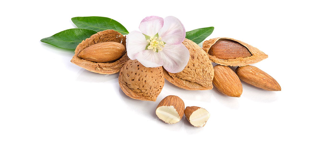 Προβλέψεις για την φετινή παραγωγή αμυγδάλων στην Ισπανία