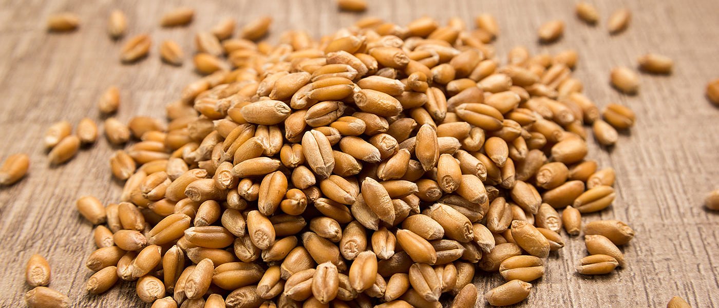 Προσπάθεια για επάρκεια σε μαλακό σιτάρι, 35% η χώρα μας το εισάγει από Μαύρη Θάλασσα