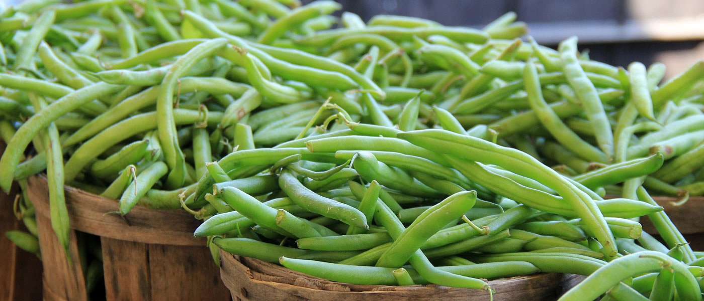 Πεσμένη η ζήτηση για τα φασολάκια, χαμηλά οι τιμές παραγωγού