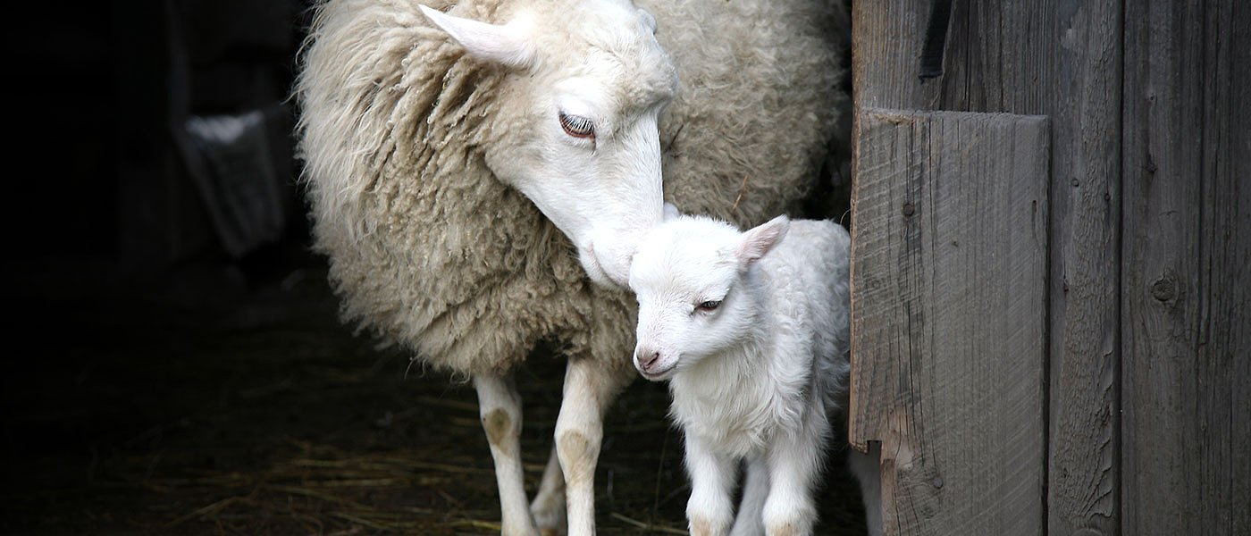 Την αύξηση των κονδυλίων για βιολογικά ανακοίνωσε ο πρωθυπουργός στη Μαγνησία