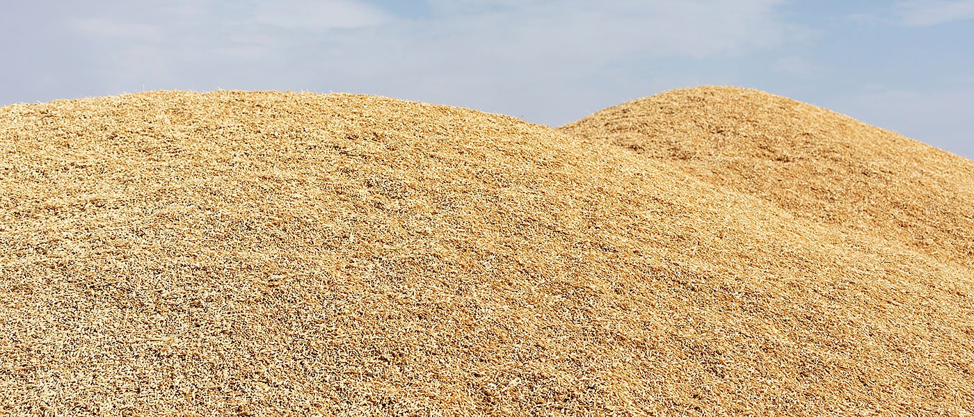 Τουρκικά και Ουκρανικά σιτηρά εισάγονται μαζικά στην Ευρώπη και ρίχνουν τις τιμές