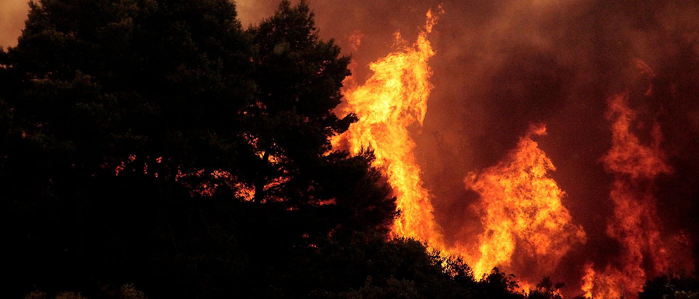 Αποζημιώση στον Οινοποιητικό Συνεταιρισμό Νέας Αγχιάλου ΔΗΜΗΤΡΑ, ζητά ΕΘΕΑΣ και ΚΕΟΣΟΕ