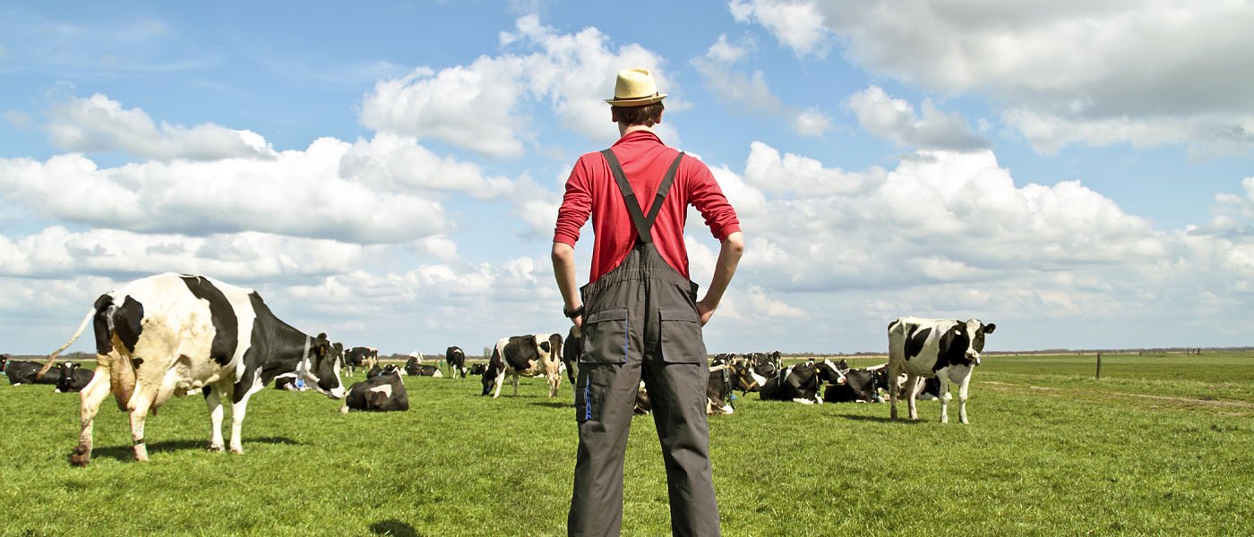 Στον εισαγγελέα τα παράνομα βοσκοτόπια λέει ο ΟΠΕΚΕΠΕ, φαγοπότι με 9,6 εκατ. στρέμματα