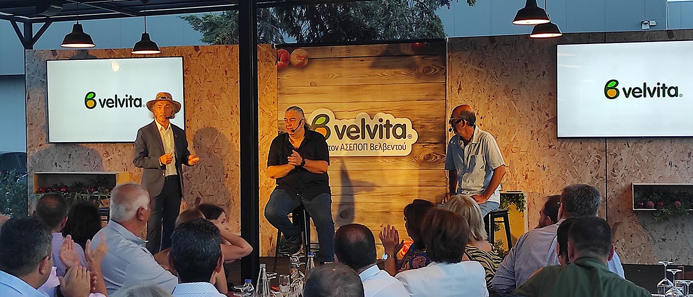 Νέο premium ροδάκινο Velvita Gold από τον ΑΣΕΠΟΠ Βελβεντού