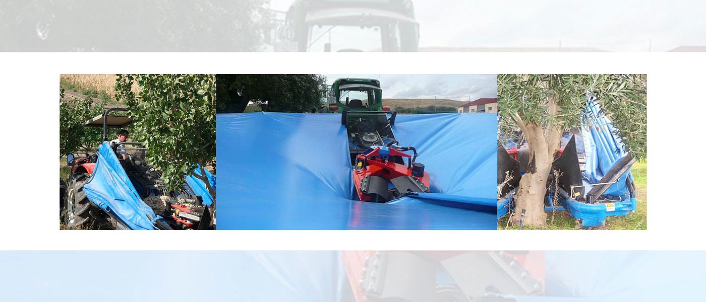 Παιχνίδι... κάνουν το μάζεμα ξηρών καρπών και ελιάς τα δονητικά μηχανήματα