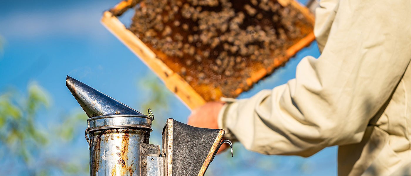 Κωνσταντίνος Λεονταράκης: Το ΥπΑΑΤ αδιαφορεί για καταστροφή μελισσοκομικού κλάδου