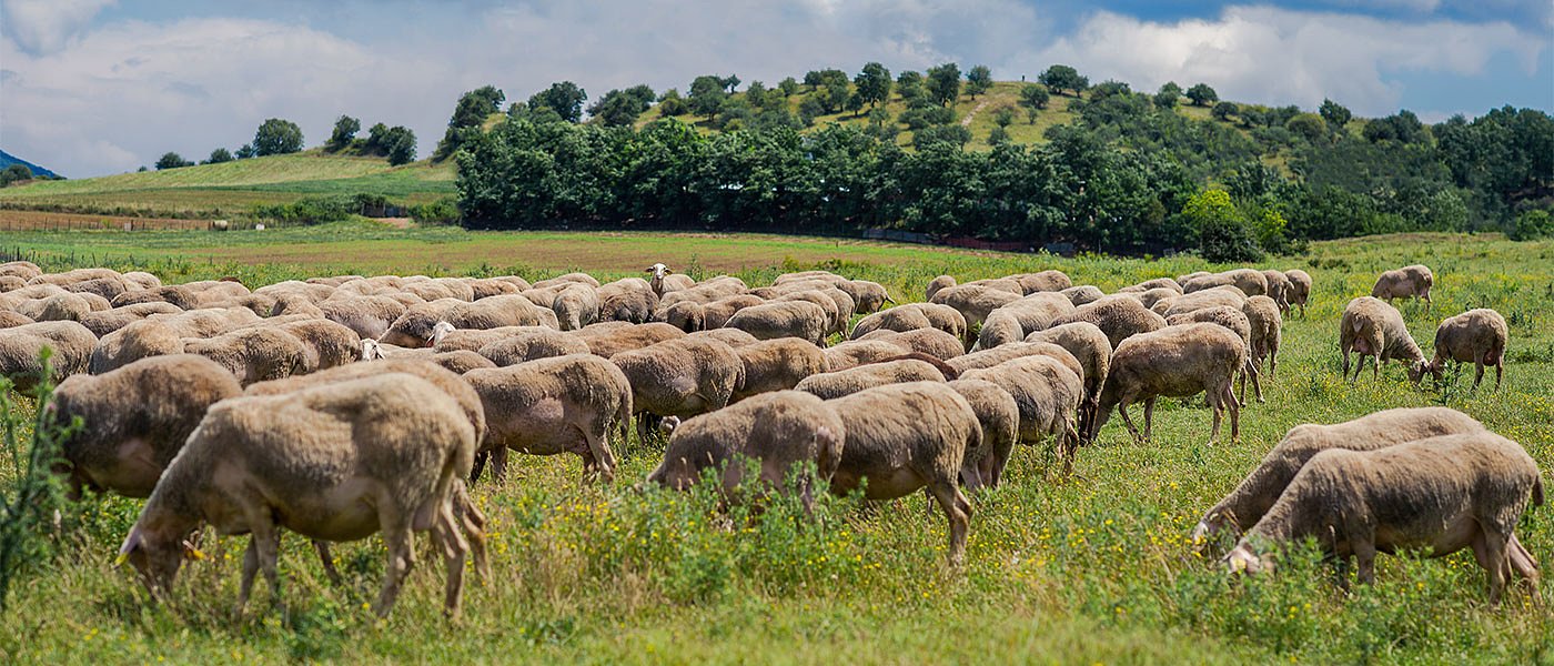 Η Μεγάλη Εβδομάδα των... πληρωμών για αγρότες και κυρίως κτηνοτρόφους