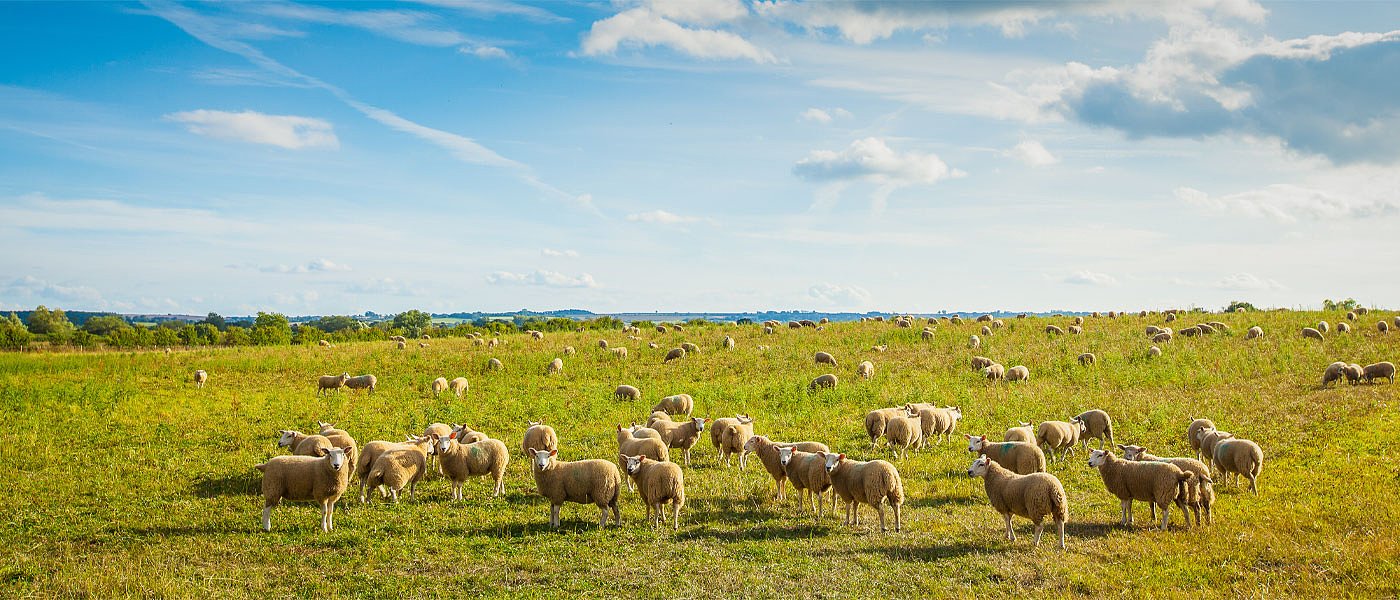 Τα ΑΤΑΚ βοσκότοπων έφεραν... προληπτικές περικοπές σε επιδοτήσεις και εξοντωτικές ποινές