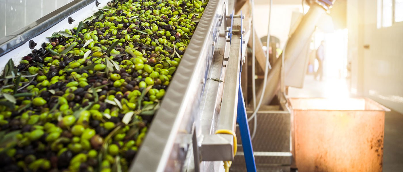 Παρουσία πλήθους κόσμου η εκδήλωση για την ελαιοκαλλιέργεια στο Ηράκλειο