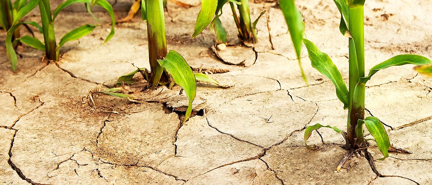 Σοβαρό πρόβλημα η λειψυδρία, αποφάσεις EUMED9 στην Κύπρο και μνημόνιο συνεργασίας