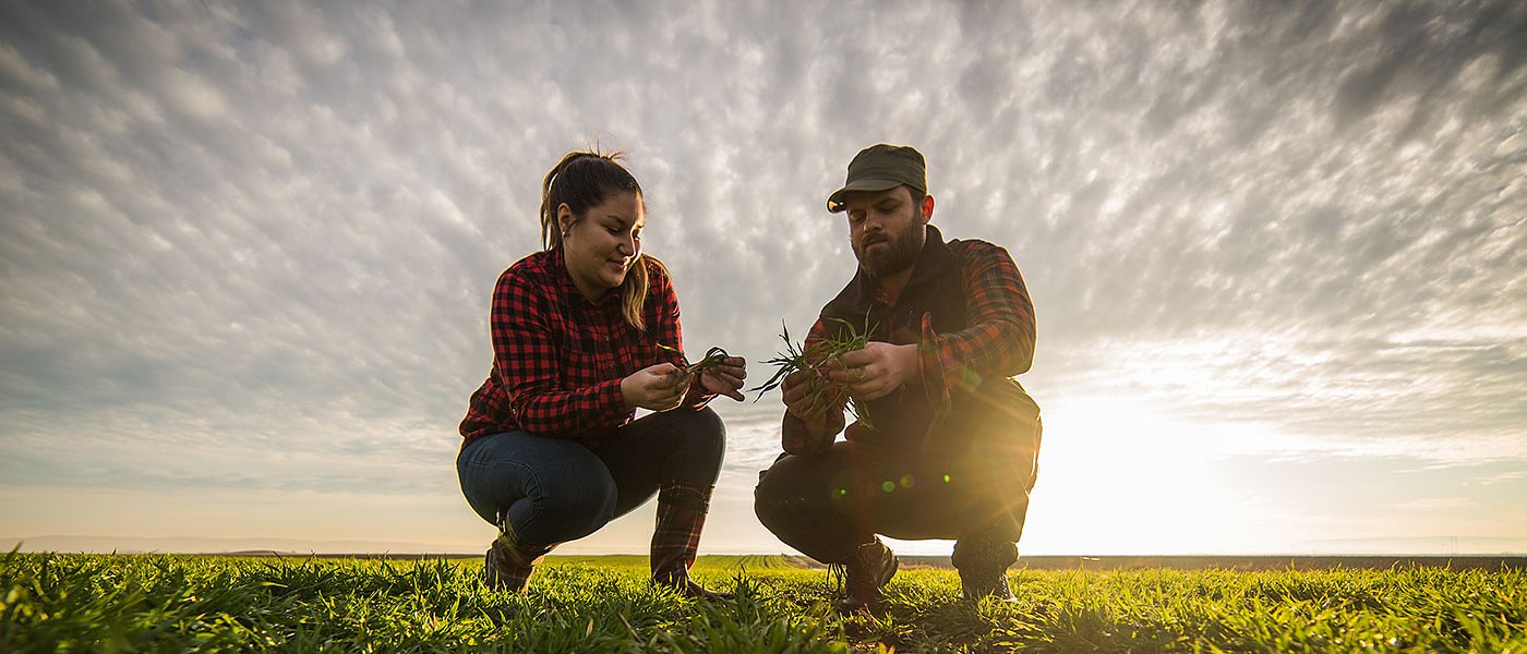 Ελεύθερα τα φορολογικά διαζύγια και για αγρότες, σε λειτουργία η φόρμα