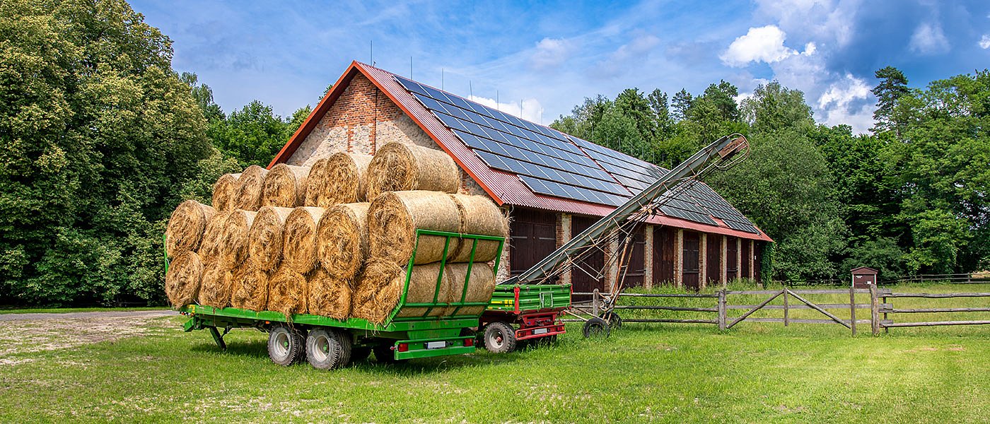 Επιδότηση ζωοτροφών, ενίσχυση θηλυκών αμνοεριφίων, εγκατάσταση φωτοβολταϊκών σε στάβλους