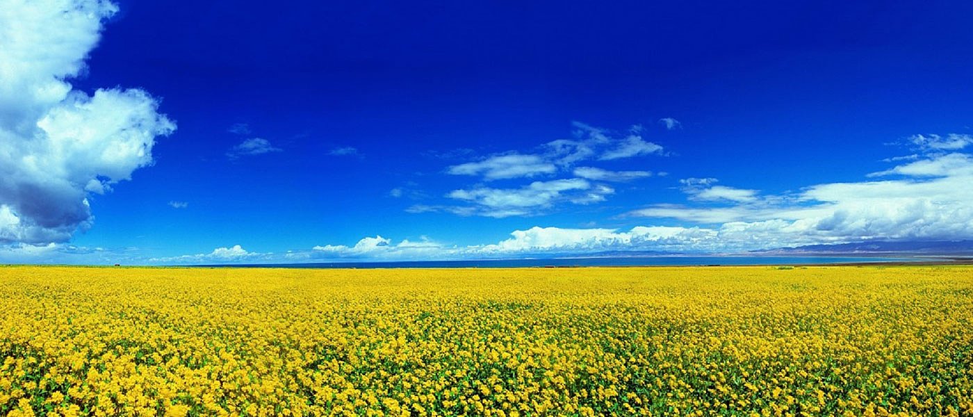 Ο ανταγωνισμός φέρνει μείωση κόστους δηλώσεων ΟΣΔΕ, αίτηση για ΦΥΠΥ και από ΠΕΦΑ