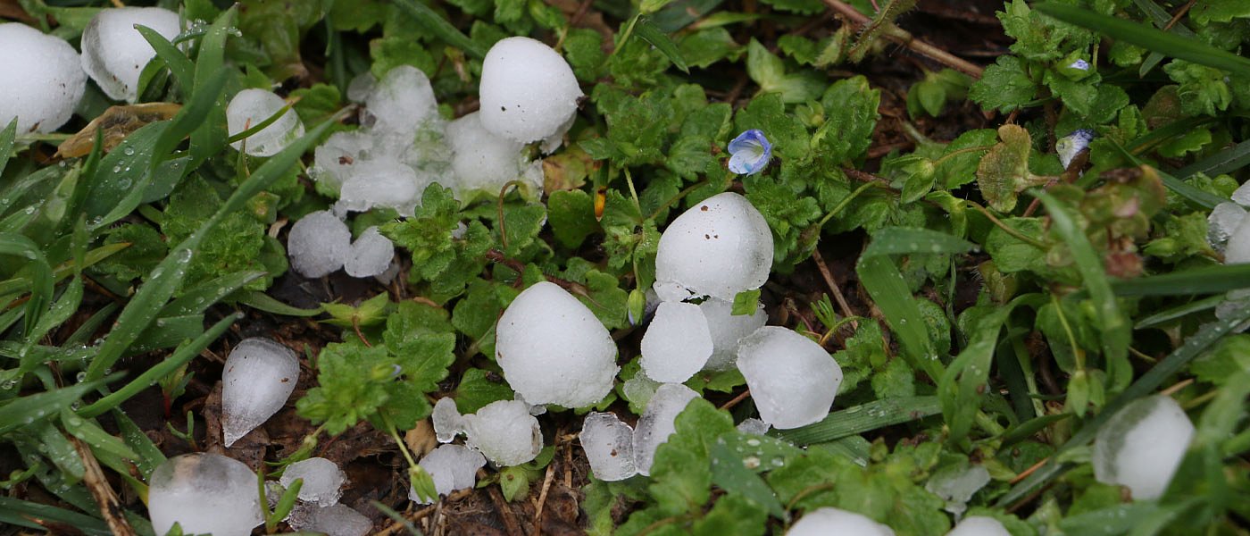 Τέλος η χρονιά για χιλιάδες παραγωγούς με Καλαμών στο Μεσολόγγι, χαλάζι σάρωσε τα πάντα