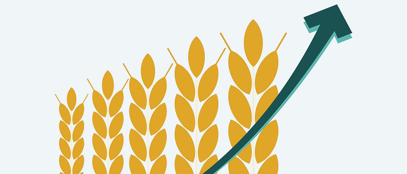 Προβλέψεις για την παγκόσμια αγορά των σιτηρών, οι υψηλές τιμές αναβάλλουν πράξεις