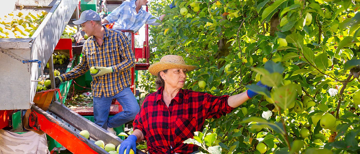 Στο ΦΕΚ η ΚΥΑ για εργάτες από τρίτες χώρες, τι αλλαγές περιλαμβάνει
