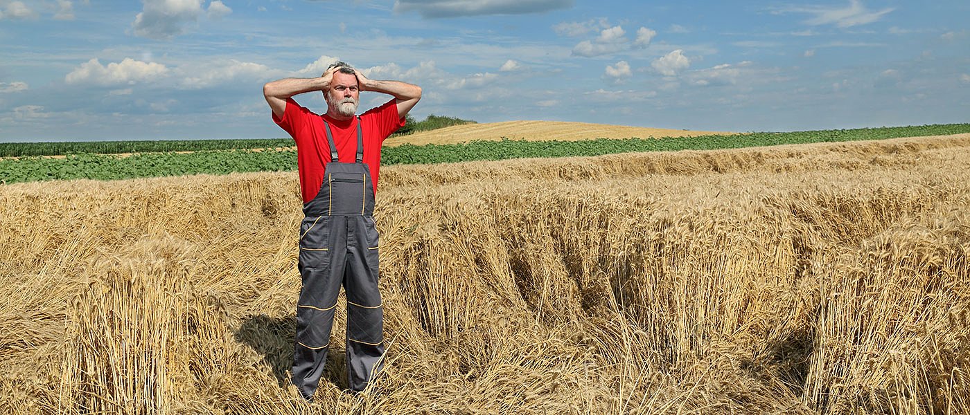 Προβλήματα και καθυστερήσεις πάλι από ΕΛΓΑ, πάνε για Άνοιξη 2025 ζημιές του καύσωνα