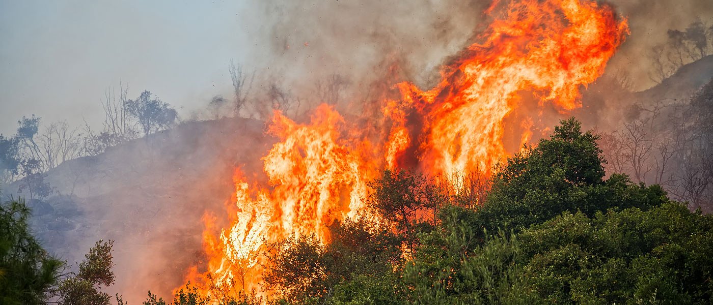 Τι δίνει η κυβέρνηση στους πυρόπληκτους αγρότες