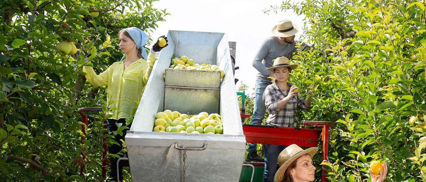 Εργάτες γης: Έγινε η ρύθμιση για εργόσημο αλλά «κόλλησε» η διαδικασία στο ΑΦΜ