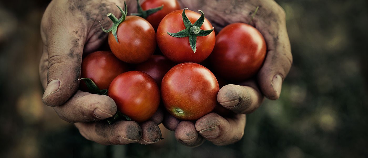 Τροποποιητική στα βιολογικά αλλάζει ημερομηνίες τροποποίησης και μεταβίβασης