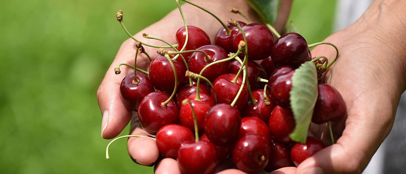 Με εντολή Μητσοτάκη έρχεται λύση για τους εργάτες γης