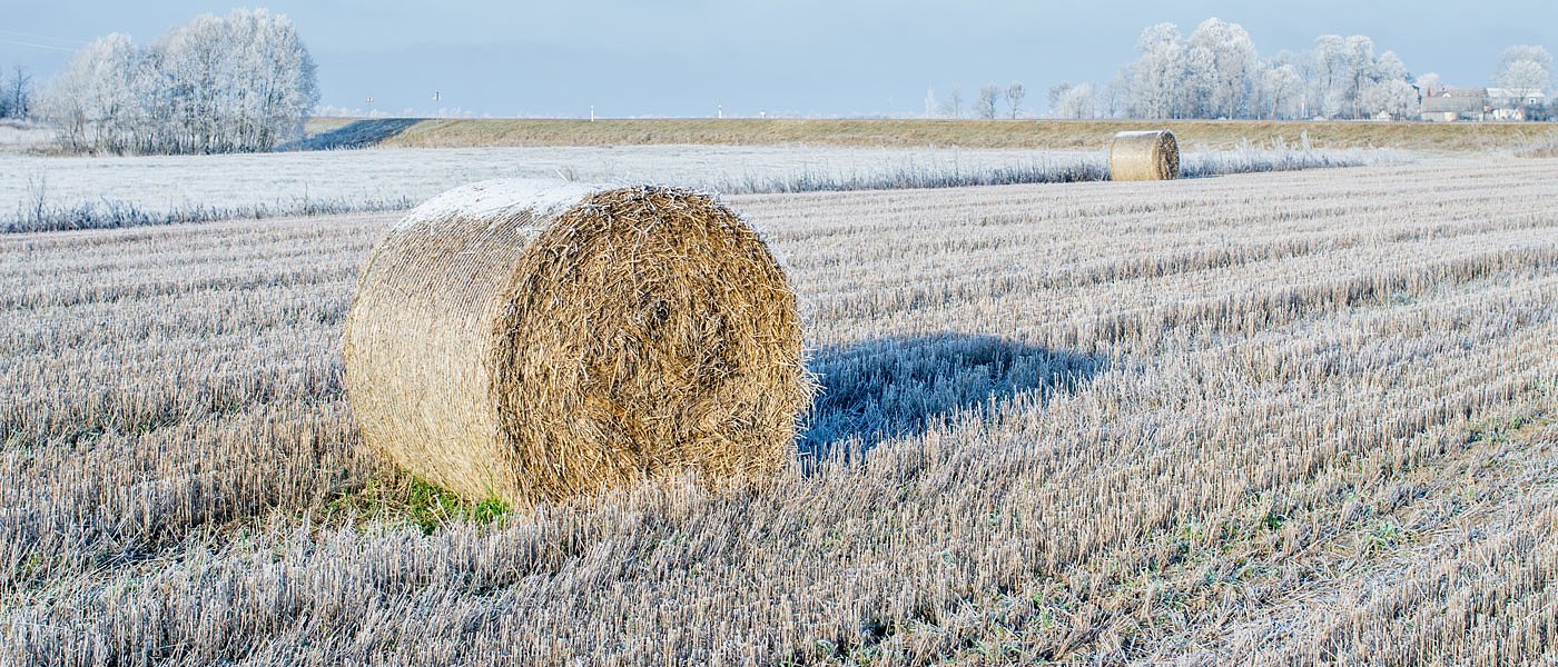 Οι ζημιές στα Τέμπη αποζημιώνονται πλήρως από τον ΕΛΓΑ