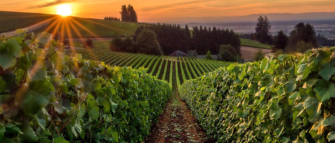 Το Σαββατιανό σε κίνδυνο, μελετά μέτρα στήριξης το ΥπΑΑΤ
