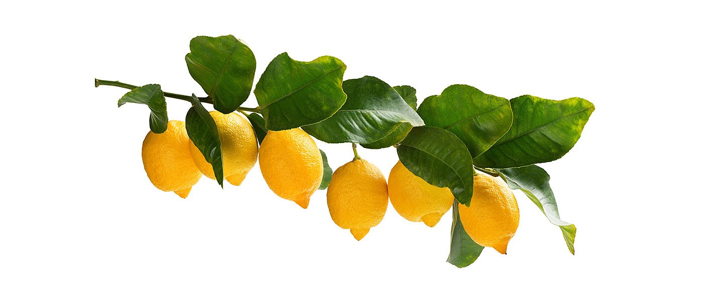 Δεν μπορούν να πουλήσουν τα λεμόνια οι παραγωγοί, μειωμένη ζήτηση και τιμές έως 30 λεπτά