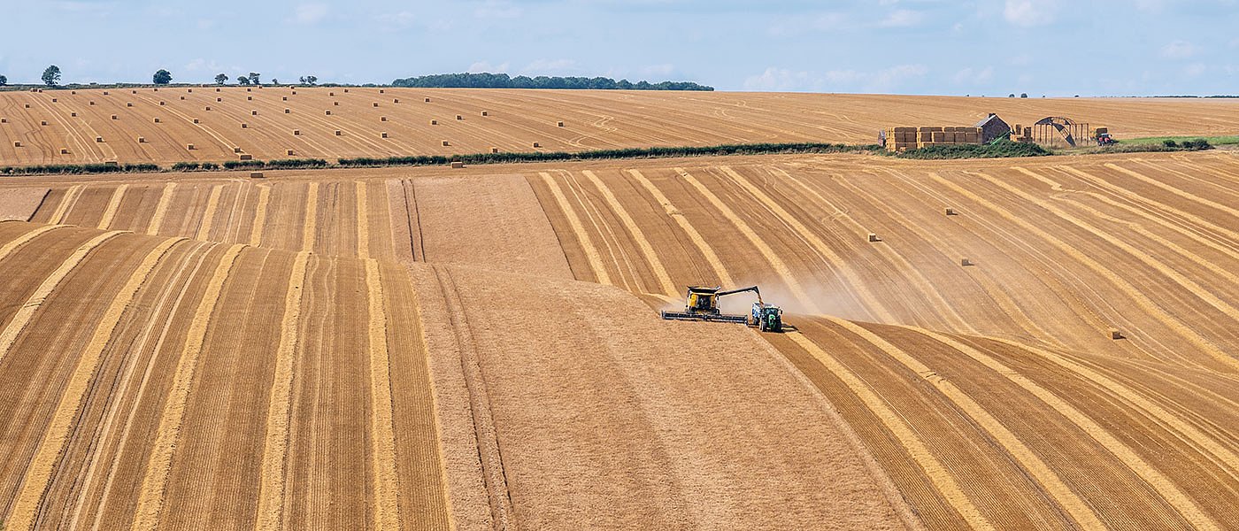 Κριθάρι: Από 18 λεπτά ξεκίνησε κτηνοτροφικό, αναμένουμε μειωμένες ποσότητες