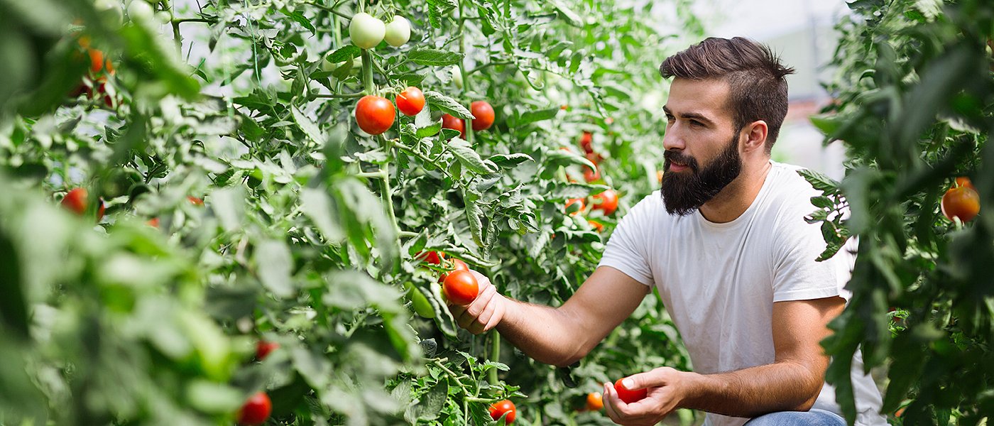 Πρόβλημα με μετακλητούς εργάτες γης, πρέπει οι παραγωγοί να καταθέσουν ΟΣΔΕ 2021