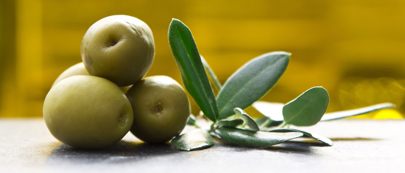 Ένωση Αγρινίου: Ανακοίνωσε τιμές παραλαβής για τις πράσινες ελιές