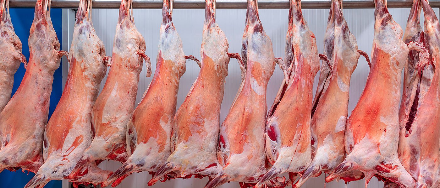 Χαμηλές πτήσεις για τις τιμές παραγωγού στα αμνοερίφια, ψηλά όμως η τιμή στο τσιγκέλι