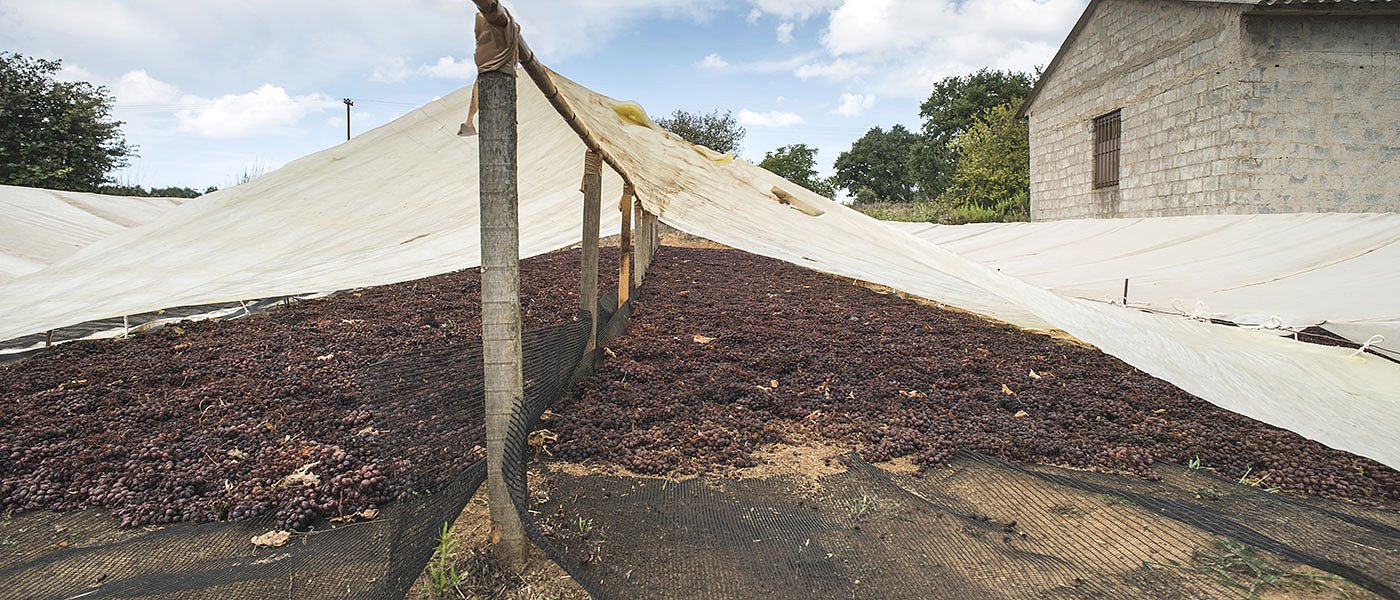 Κορινθιακή σταφίδα: Συμφωνία για 1,25 ευρώ ανά κιλό από τον παραγωγό