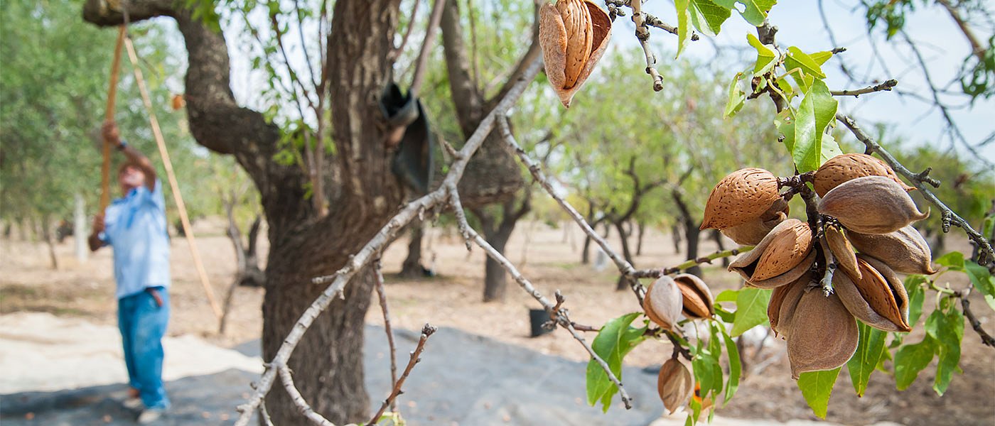 Έρχεται πρόγραμμα επιδότησης αγροτών για κατασκευή καταλυμάτων αγρεργατών