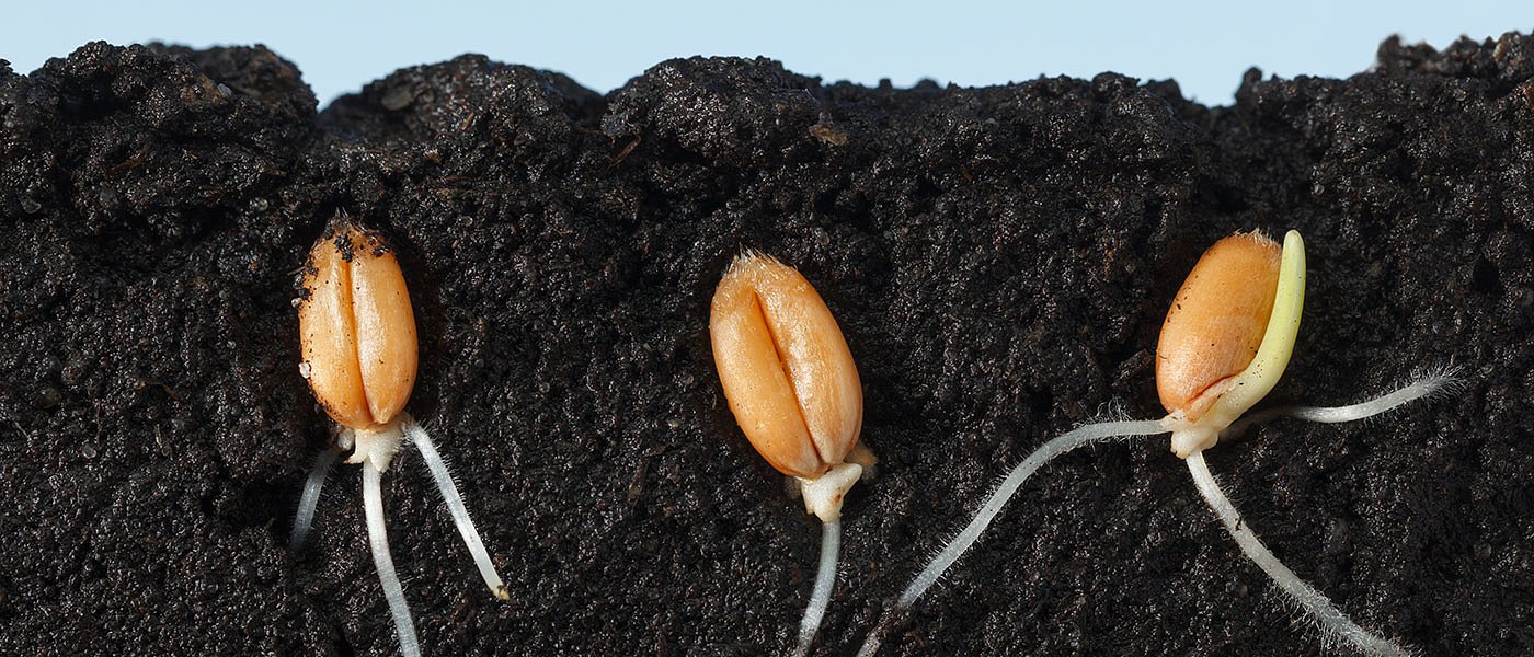 Ξεκινούν οι σπορές στο σκληρό, κόστος και χαμηλές τιμές προβληματίζουν τους παραγωγούς