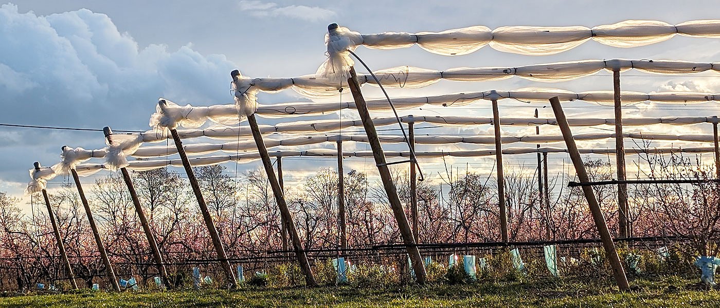 Χαλάζι έπεσε σε περιοχές της Ημαθίας, ανάγκη για χρηματοδοτικό εργαλείο αποζημιώσεων
