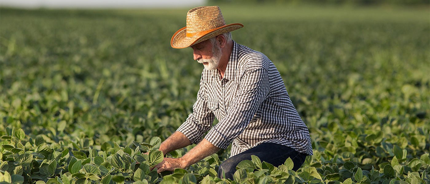Διαγράφονται παλιές οφειλές αγροτών για εισφορές προς τον ΟΓΑ, απόφαση βόμβα από το ΣτΕ