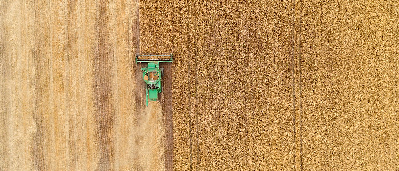Αύξηση κατανάλωσης ζωοτροφών στην Κίνα και μείωση αποθεμάτων ζωοτροφικών σιτηρών