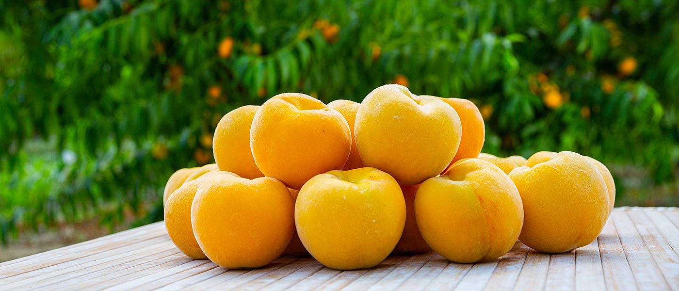 Δύσκολη χρονιά φέτος στα συμπύρηνα, γιατί δεν δίνουν αποζημιώσεις για τα παραμορφωμένα;