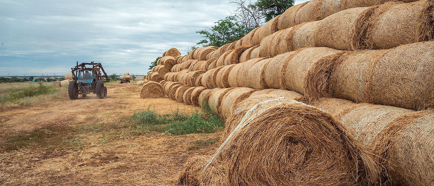 Τσιάρας: Την επόμενη εβδομάδα de minimis για ζωοτροφές σε όλα τα γαλακτοπαραγωγικά ζώα