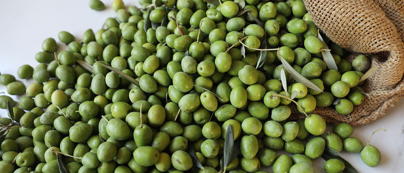 Ο Λιβανός για έκτακτη κορονοενίσχυση επιτραπέζιας ελιάς Χαλκιδικής