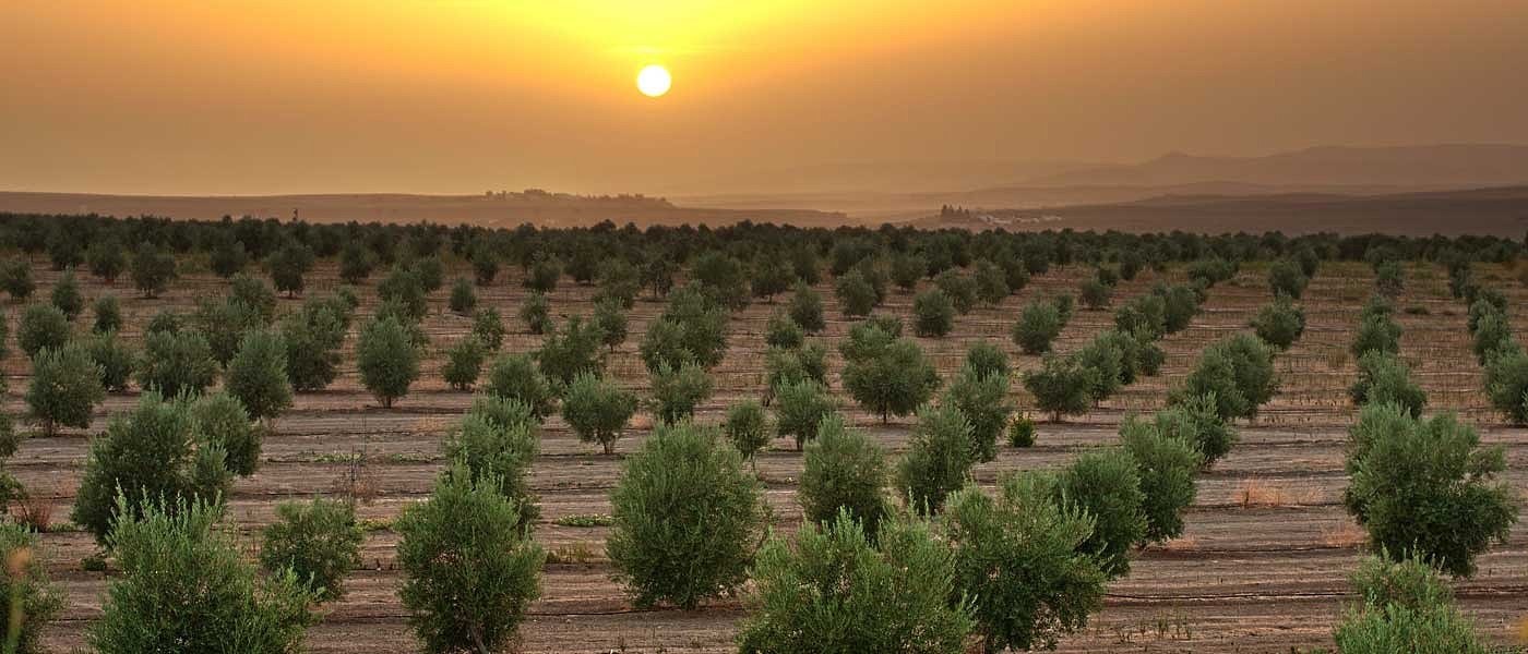 Τι αλλαγές έρχονται σε δασικούς χάρτες με εκσυγχρονισμό της περιβαλλοντικής νομοθεσίας