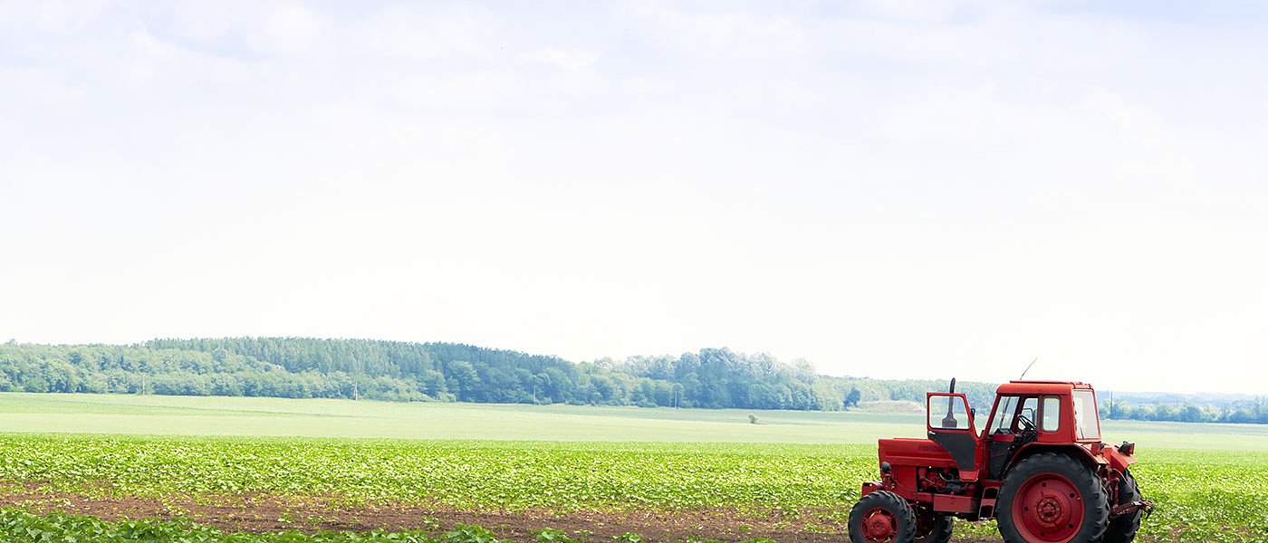 Ρύθμιση για οφειλές σε ΟΤΑ: Εντός μόνο οι αγρότες με άνθη, έλατα και καουτσουκόδεντρα