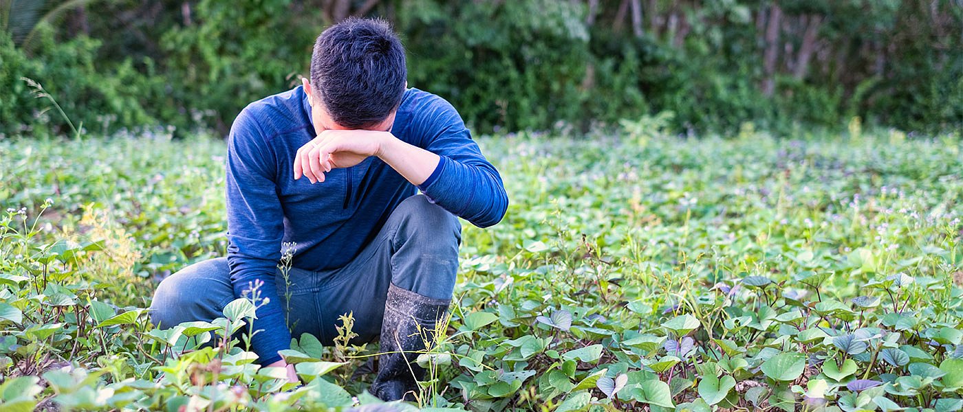 70.000 παραγωγοί με μειωμένη ή καθόλου επιδότηση, μεγάλες αστοχίες στην πληρωμή