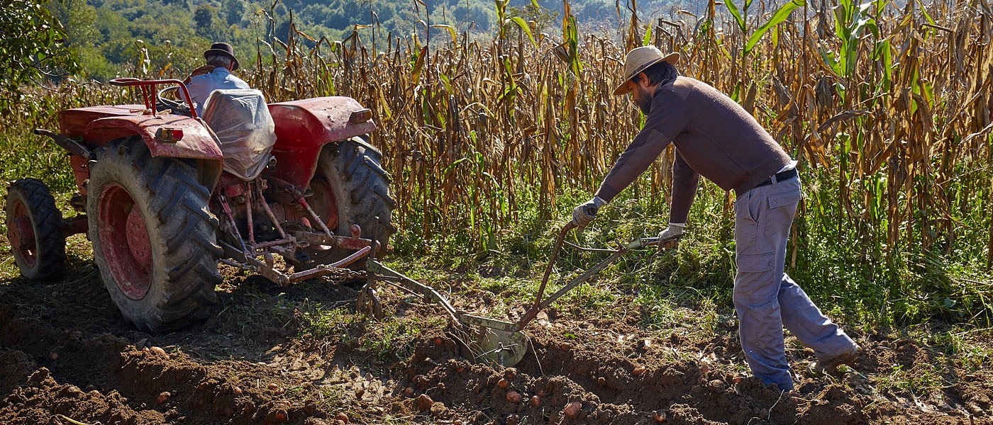 Προβλήματα και δυσλειτουργίες στο ΠΣΚΕ πάνε πίσω πληρωμές αγροτών και προγράμματα