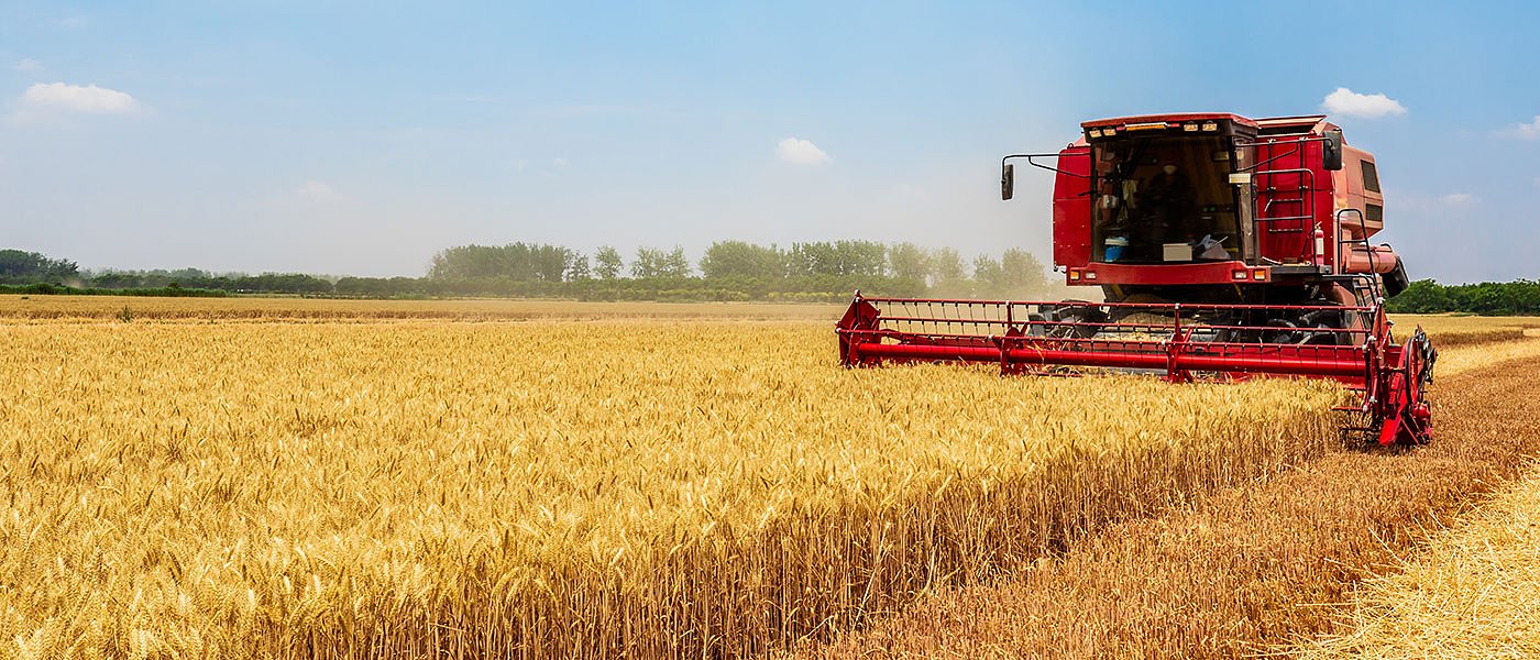 Ξεκινούν αλώνια στα κριθάρια ακολουθούν σκληρά, καλές αποδόσεις προβληματισμός για τιμές