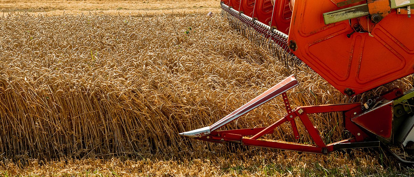 Ινδία: Με τις πιο υψηλές θερμοκρασίες των τελευταίων 122 ετών τα αλώνια, κάμψη παραγωγής